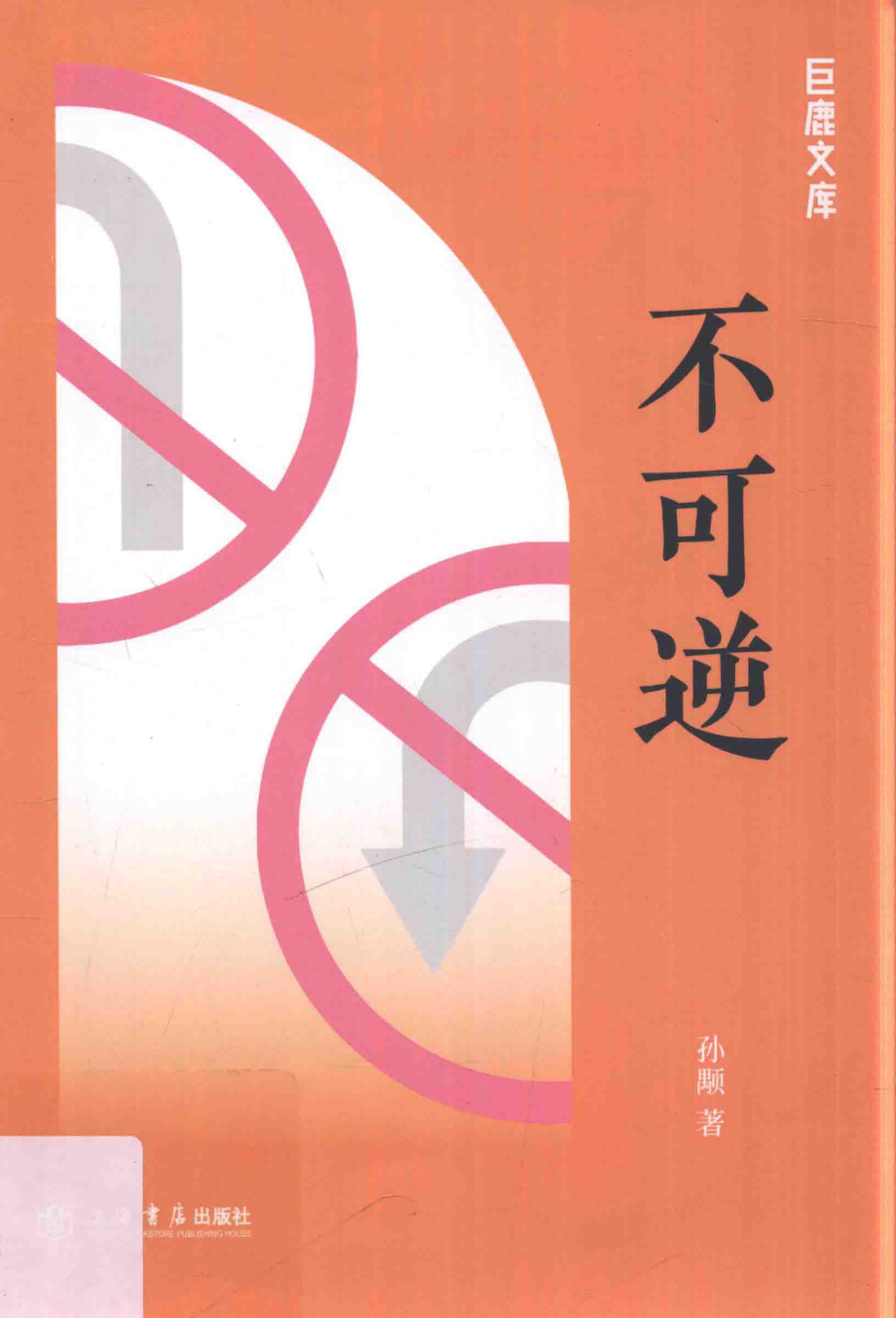 不可逆_孙颙著.pdf_第1页