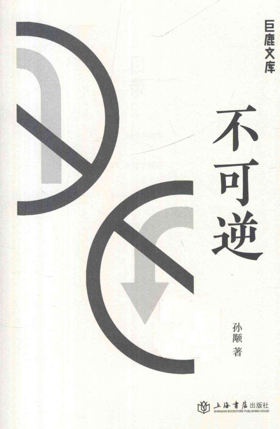 不可逆_孙颙著.pdf_第2页