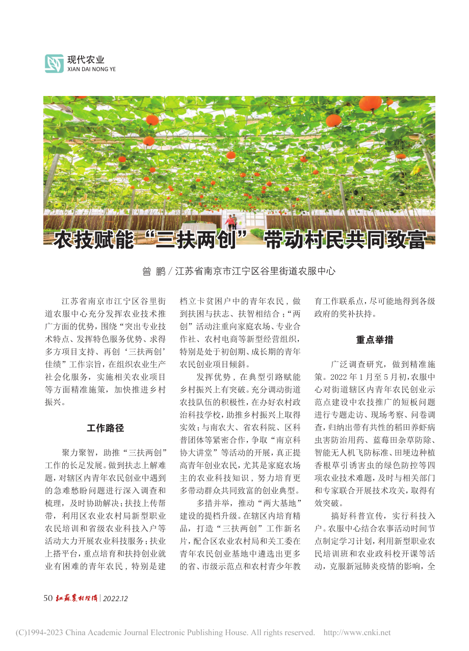 农技赋能“三扶两创”__带动村民共同致富_曾鹏.pdf_第1页