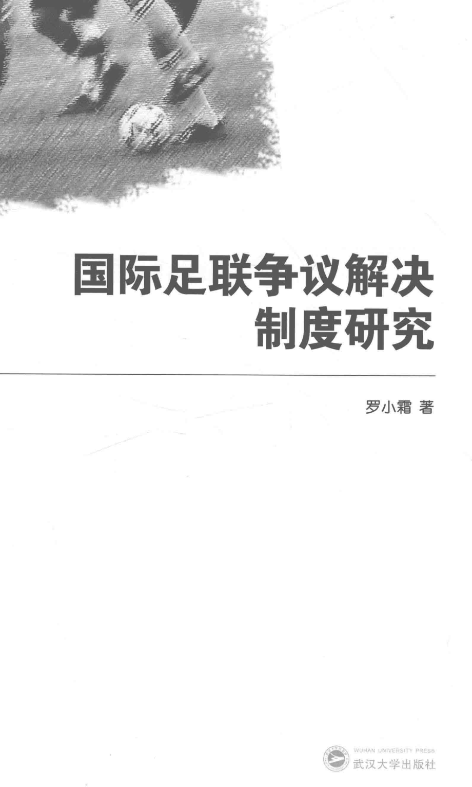 国际足联争议解决制度研究_罗小霜著.pdf_第2页