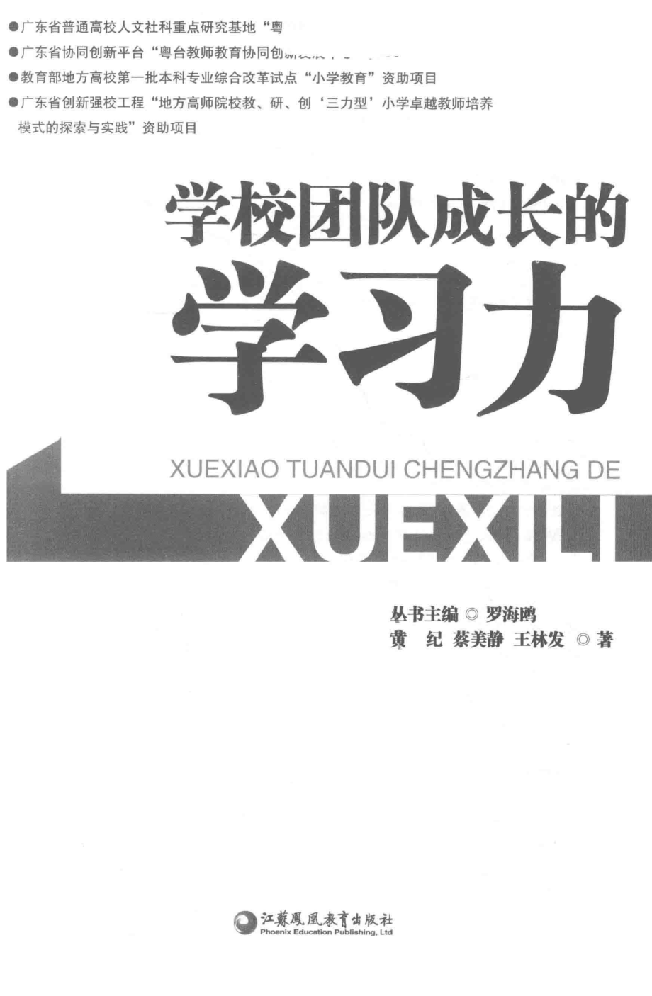 学校团队成长的学习力_黄纪蔡美静王林发著；罗海鸥编.pdf_第2页