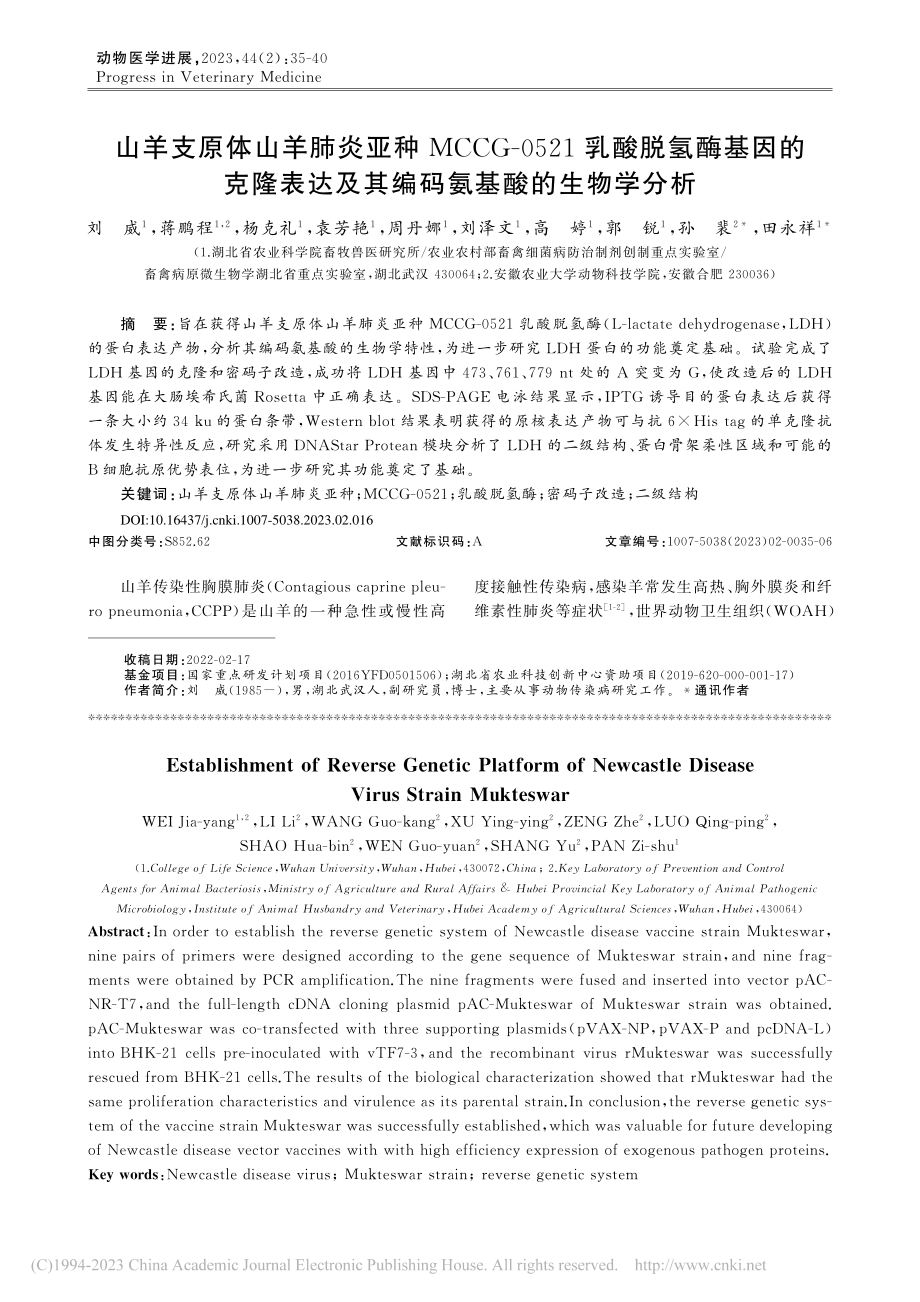 山羊支原体山羊肺炎亚种MC...及其编码氨基酸的生物学分析_刘威.pdf_第1页