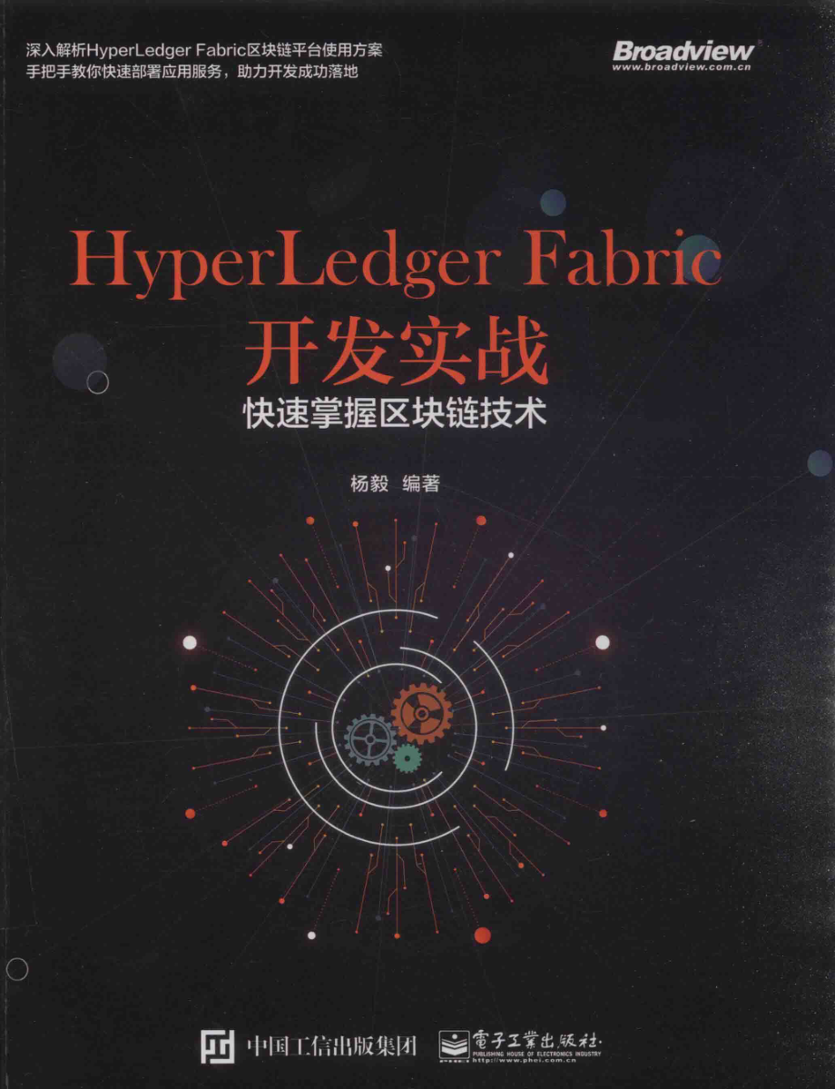 HyperLedger Fabric开发实战快速掌握区块链技术_杨毅编著.pdf_第1页