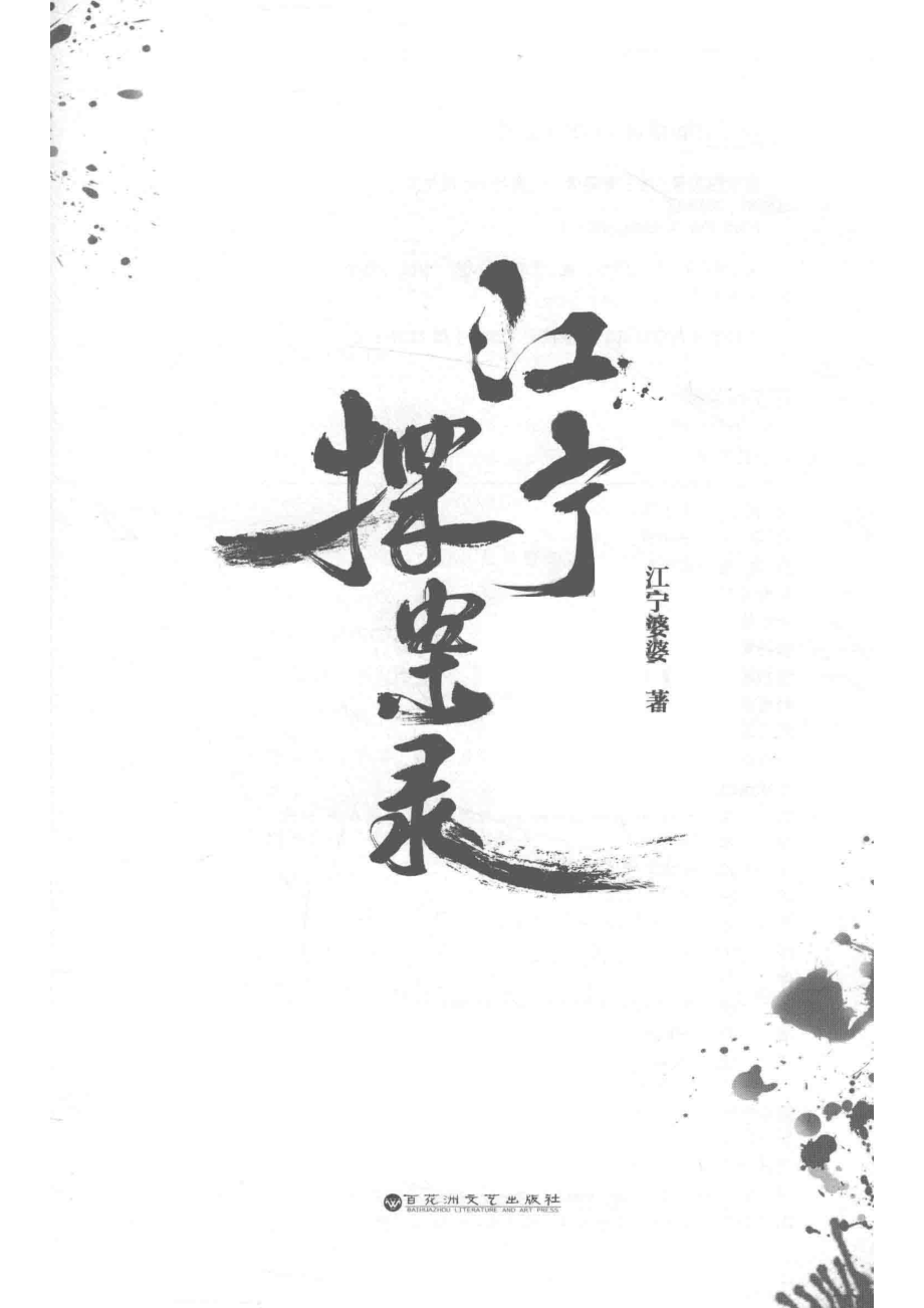 江宁探案录_江宁婆婆著.pdf_第2页