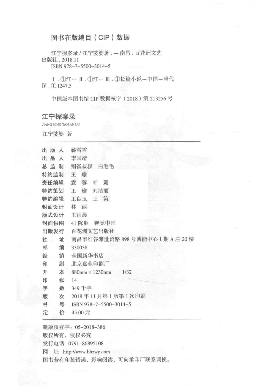 江宁探案录_江宁婆婆著.pdf_第3页