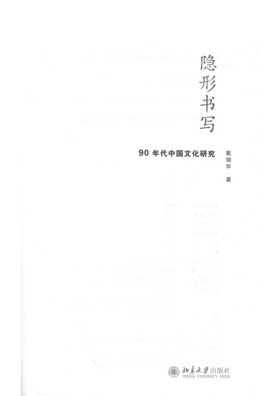 隐形书写90年代中国文化研究_戴锦华著.pdf_第2页