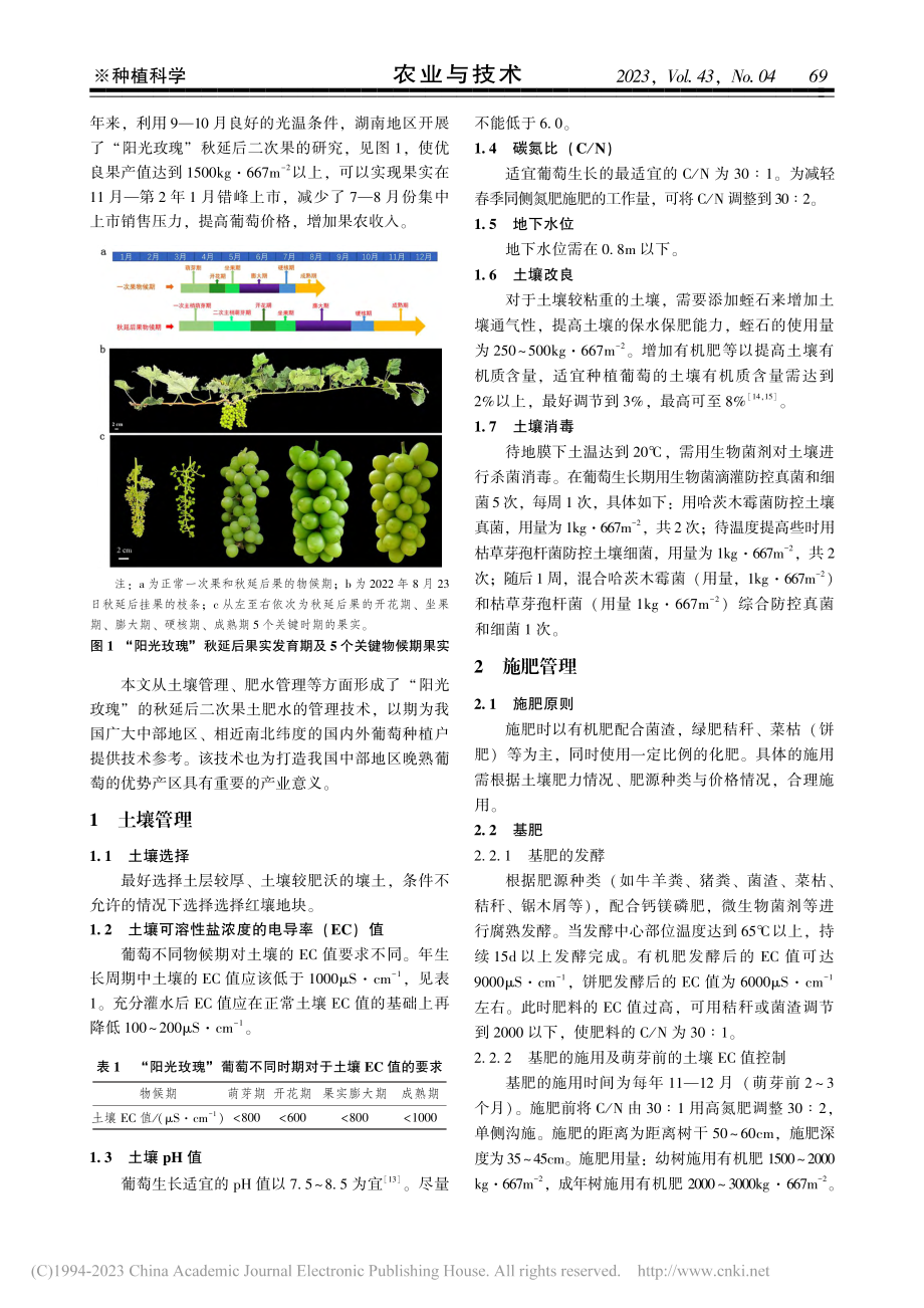 秋延后阳光玫瑰葡萄土肥水管理技术_马文涛.pdf_第2页