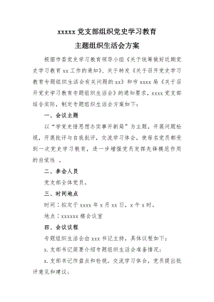 组织生活会方案（模板）.docx