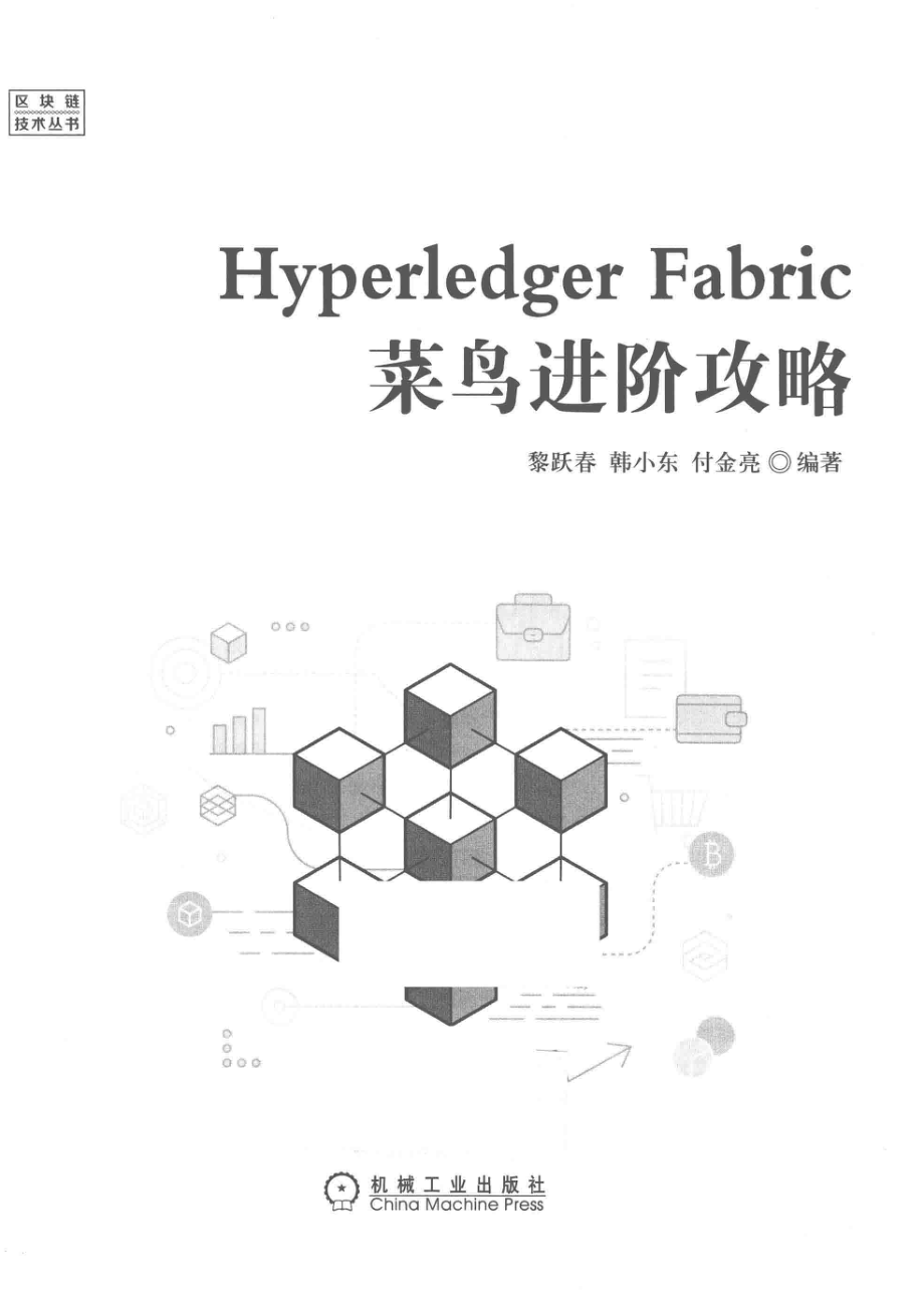 Hyperledger Fabric菜鸟进阶攻略_黎跃春韩小东付金亮编著.pdf_第2页