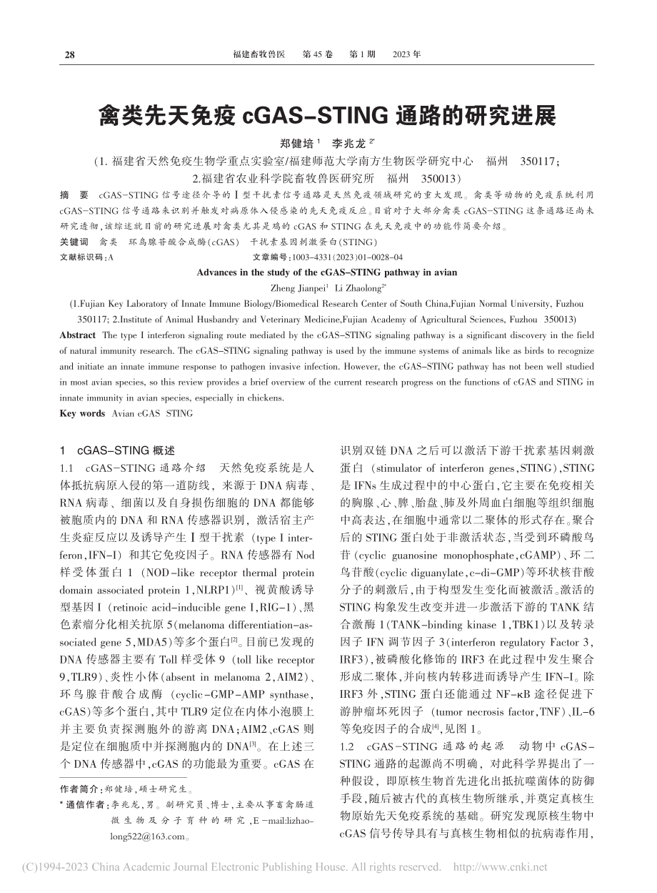 禽类先天免疫cGAS-STING通路的研究进展_郑健培.pdf_第1页