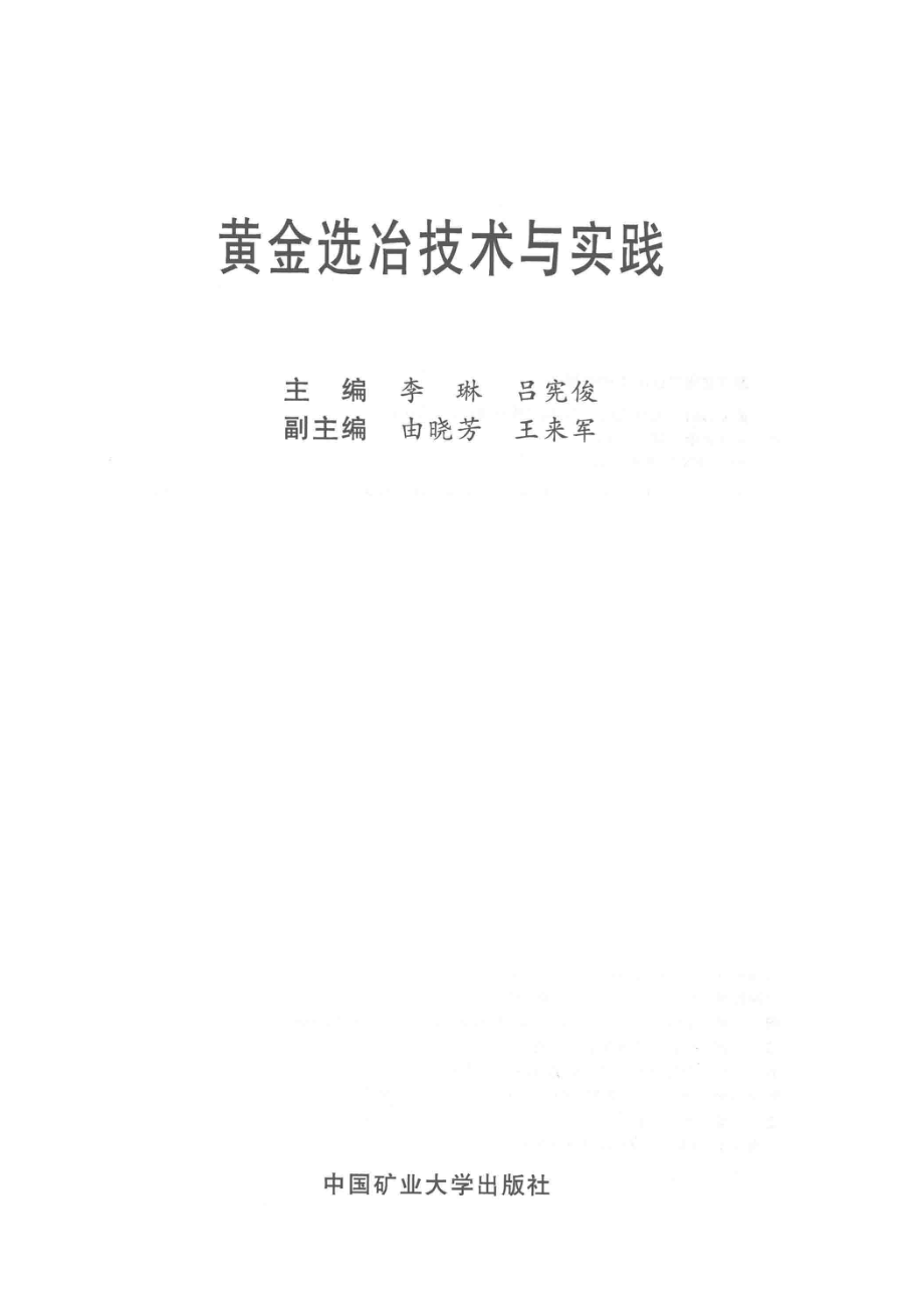 黄金选冶技术与实践_李琳吕宪俊主编；由晓芳王来军副主编.pdf_第2页