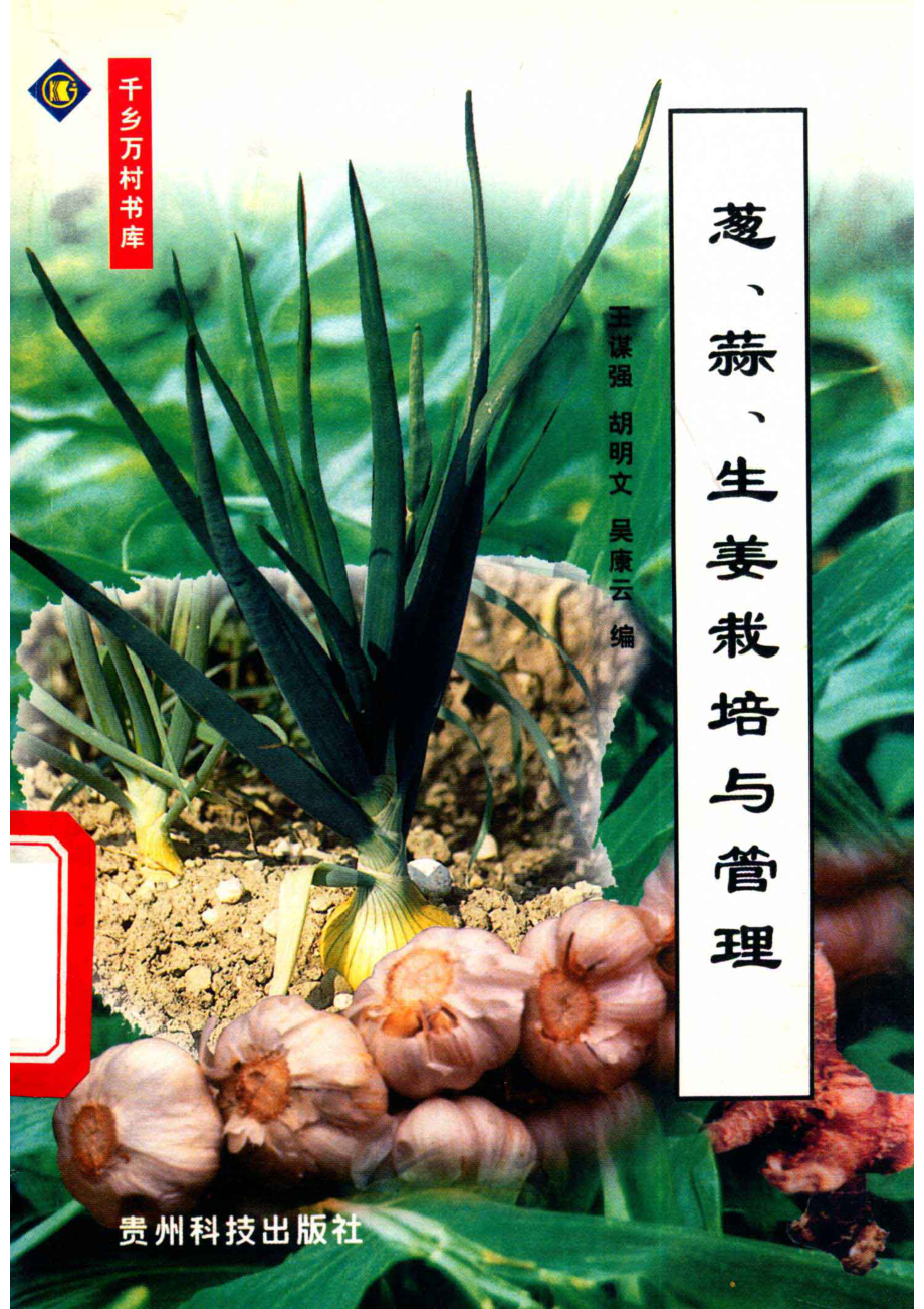 葱、蒜、生姜栽培与管理_王谋强等编.pdf_第1页