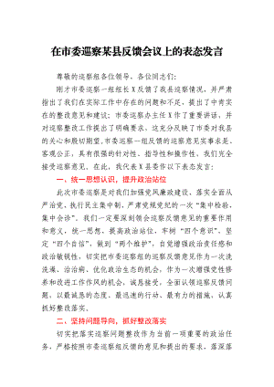 在市委巡察某县反馈会议上的表态发言.docx