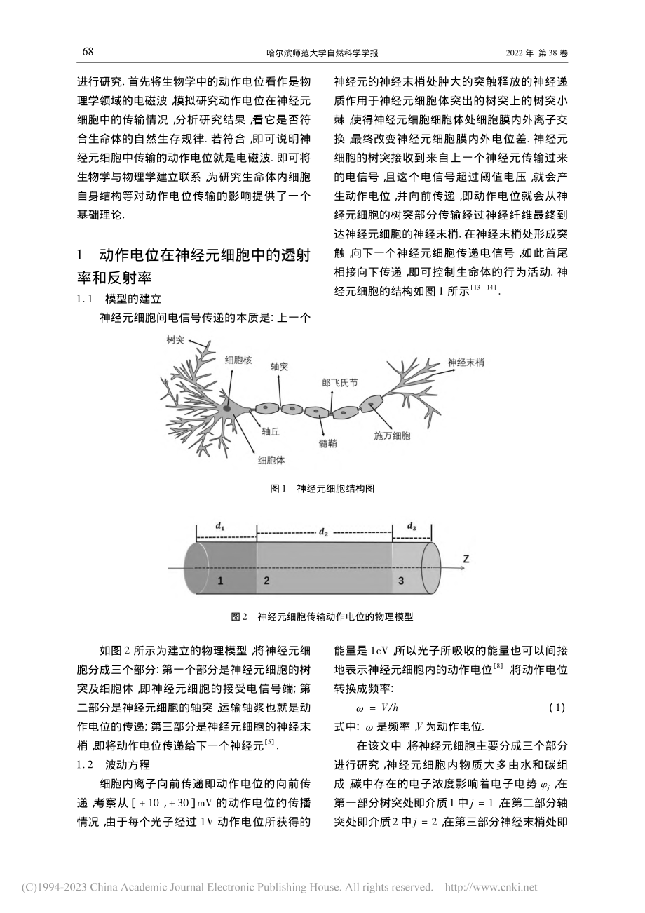 神经元电信号的传导研究_陈艳琼.pdf_第2页