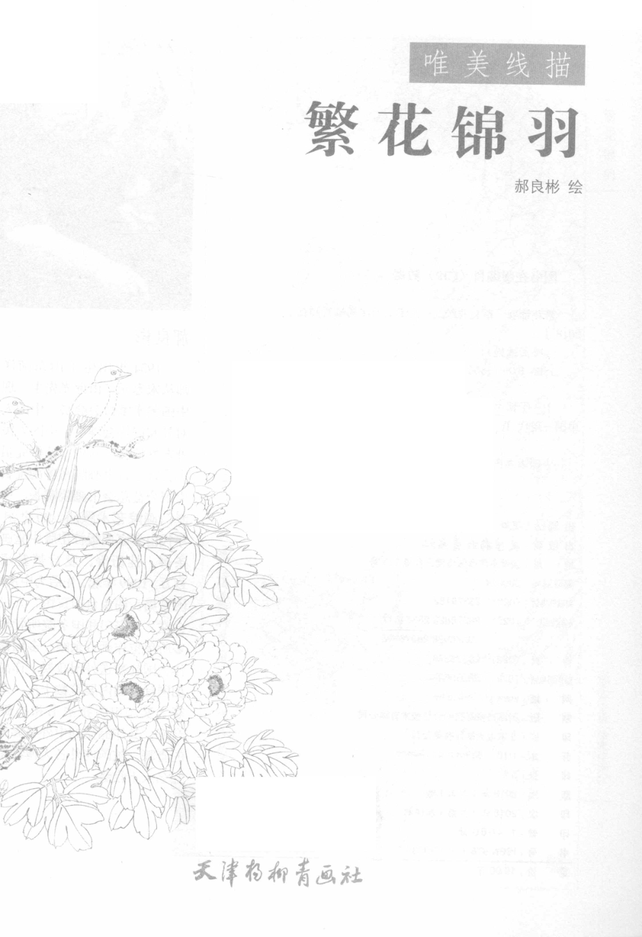 繁花锦羽唯美线描_郝良彬绘.pdf_第2页