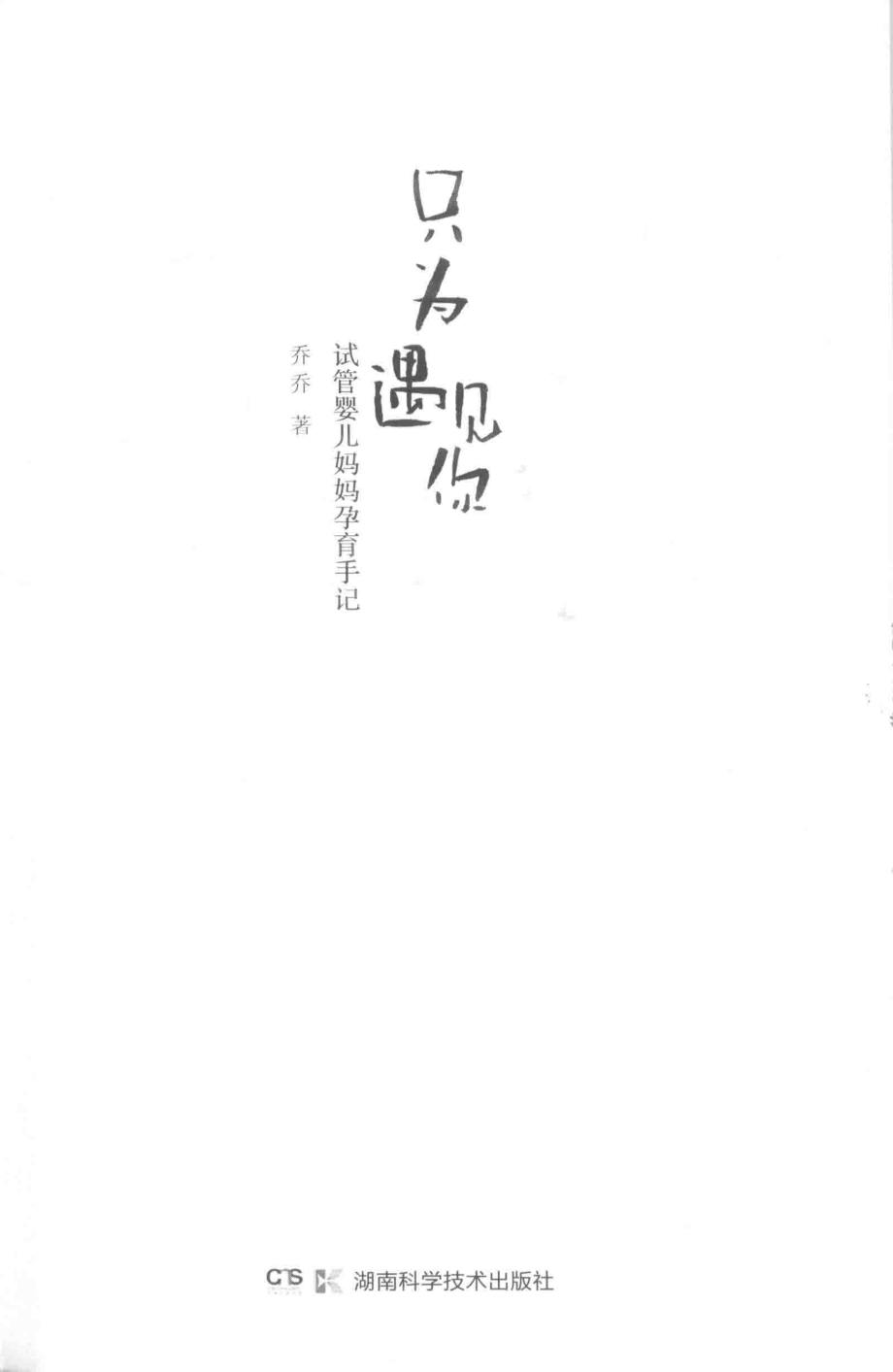 只为遇见你试管婴儿妈妈孕育手记_乔乔著.pdf_第2页