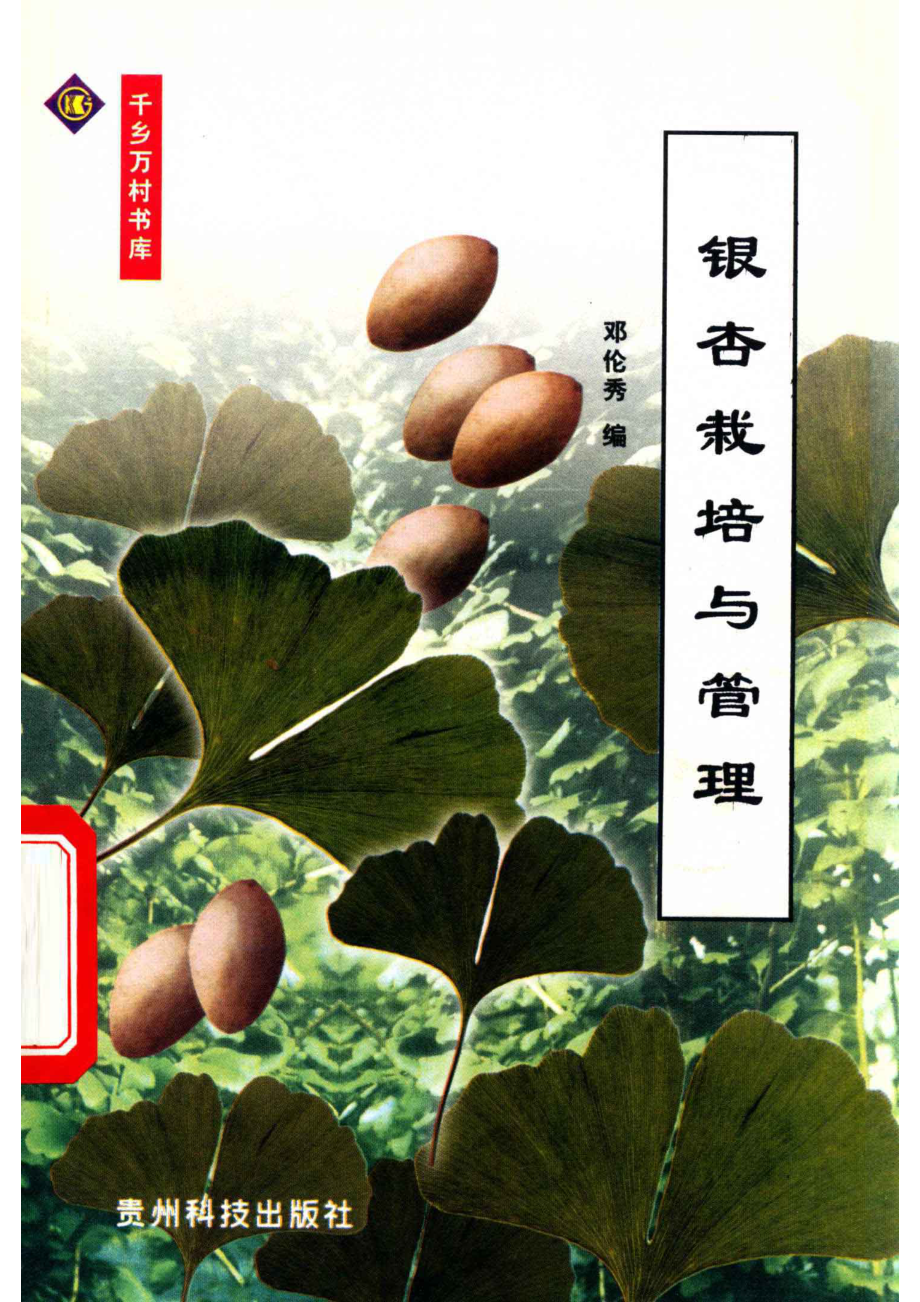 银杏栽培与管理_邓伦秀苟红英编.pdf_第1页