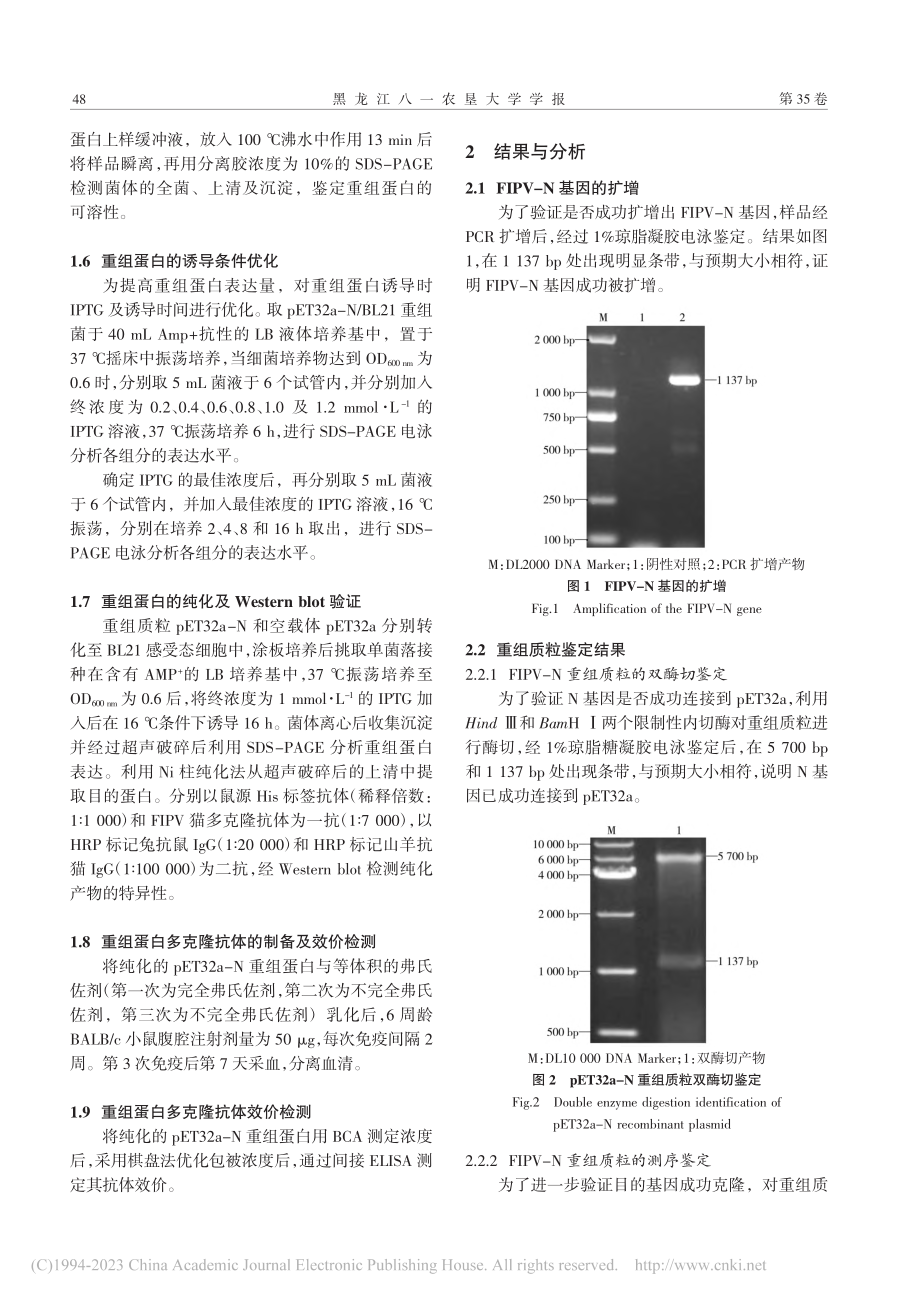 猫传染性腹膜炎病毒N蛋白原核表达及多克隆抗体制备_赵飞宇.pdf_第3页