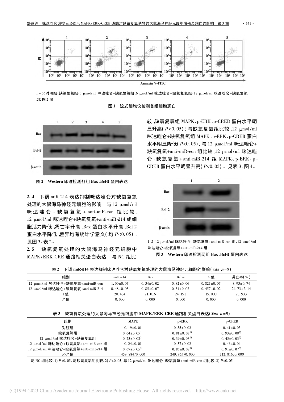 咪达唑仑调控miR-214...神经元细胞增殖及凋亡的影响_舒蕤.pdf_第3页