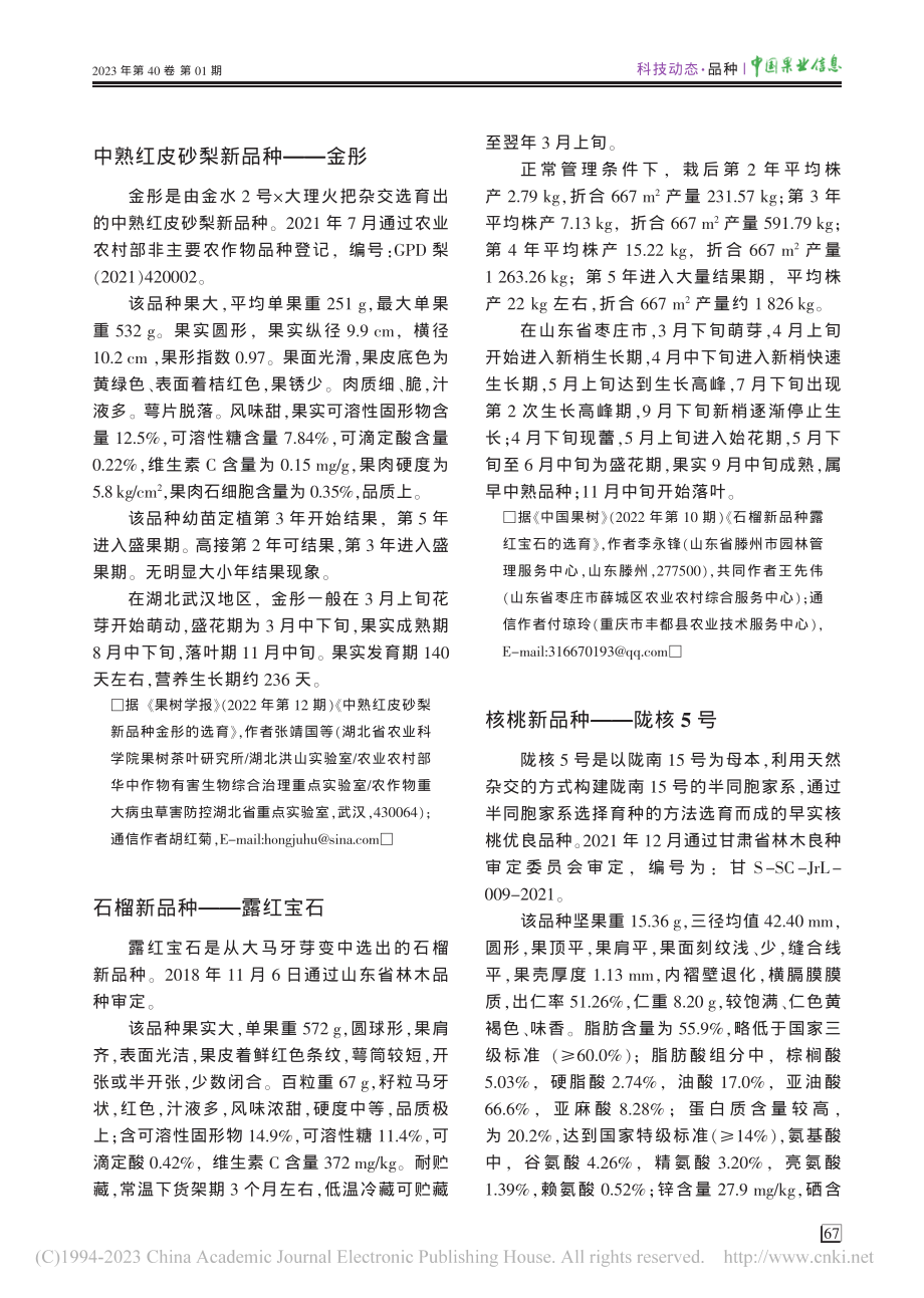 石榴新品种——露红宝石_李永锋.pdf_第1页