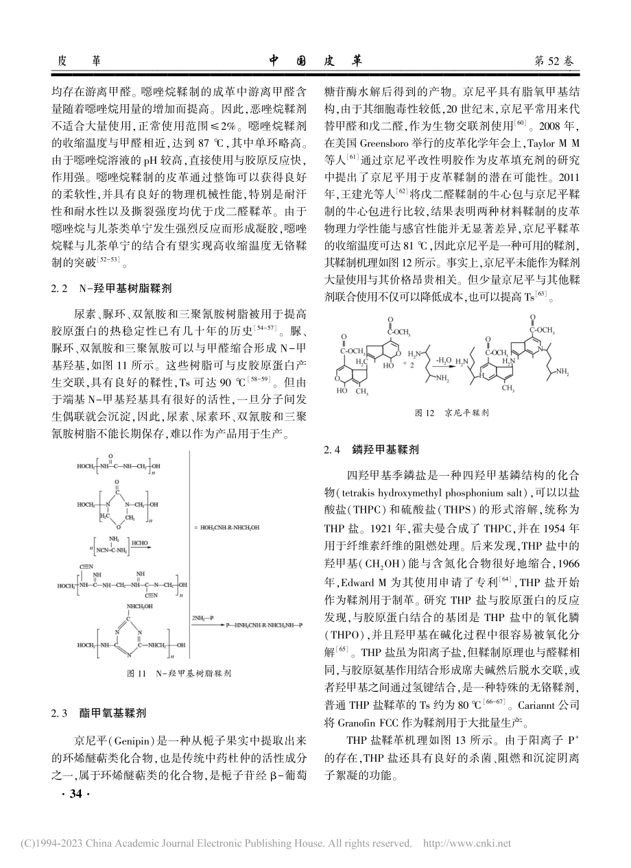 皮革制造中有机亲电鞣剂回顾（续）_陈文龙.pdf_第3页