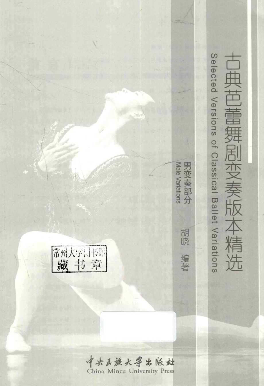 古典芭蕾舞剧变奏版本精选_胡晓著.pdf_第2页