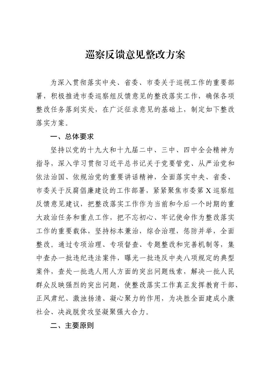 巡察反馈意见整改方案.docx_第1页