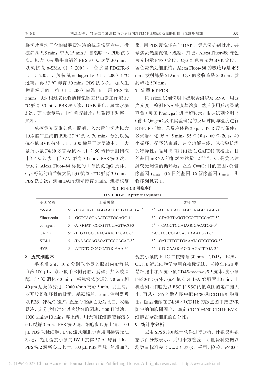 肾缺血再灌注损伤小鼠肾内纤...绿素还原酶阳性巨噬细胞增加_胡芝芝.pdf_第3页