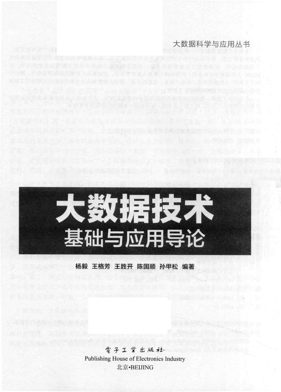 大数据技术基础与应用导论_杨毅王格芳王胜开陈国顺孙甲松编著.pdf_第2页