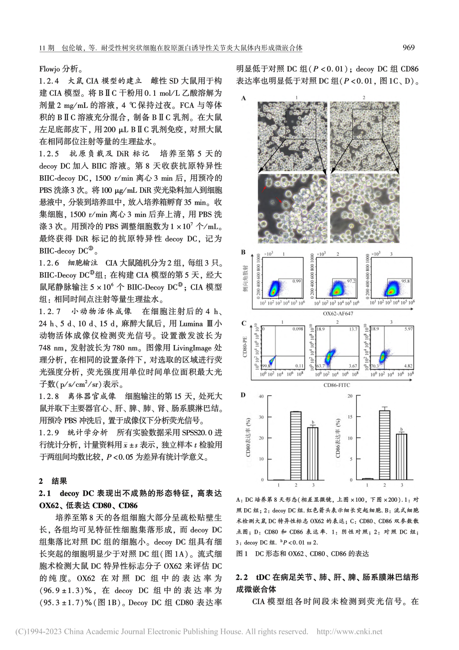 耐受性树突状细胞在胶原蛋白...关节炎大鼠体内形成微嵌合体_包伦敏.pdf_第3页