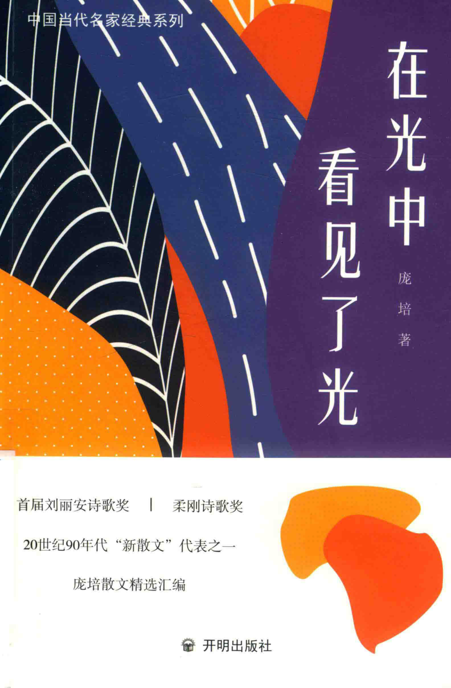 在光中看到了光_庞培著.pdf_第1页