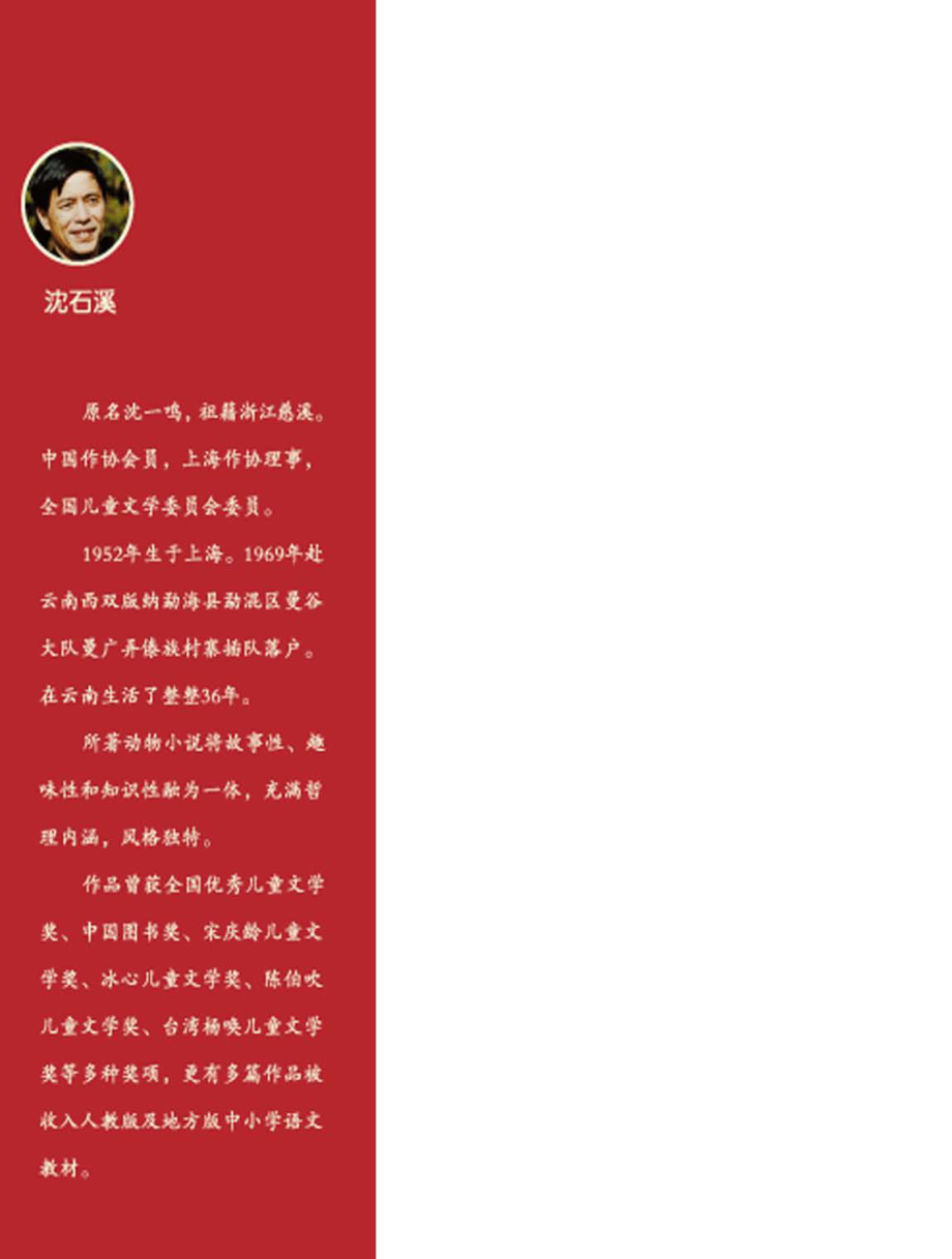 母狐换子记_沈石溪著.pdf_第2页