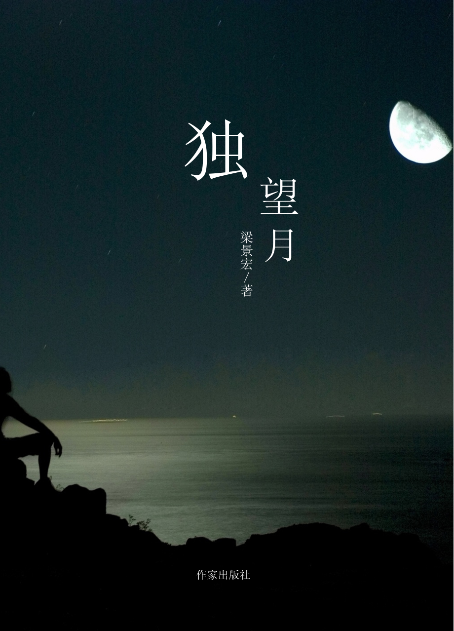 独望月_梁景宏著.pdf_第1页