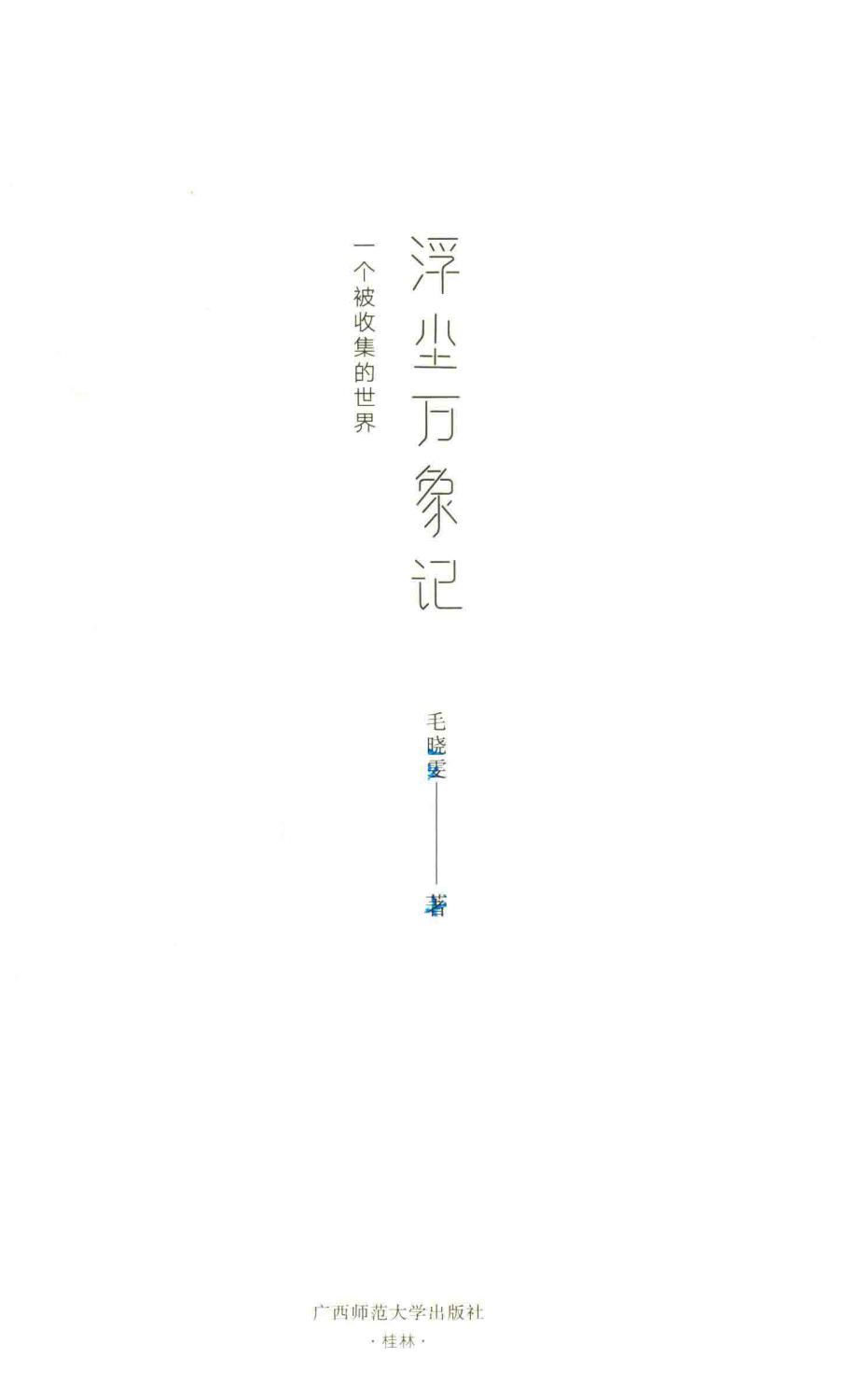 浮尘万象记一个被收集的世界_毛晓雯著.pdf_第2页