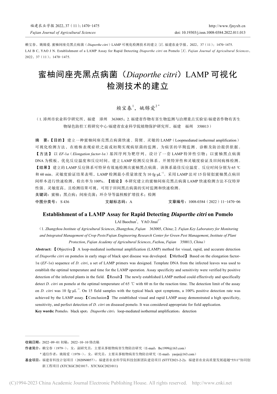 蜜柚间座壳黑点病菌（Dia...AMP可视化检测技术的建立_赖宝春.pdf_第1页