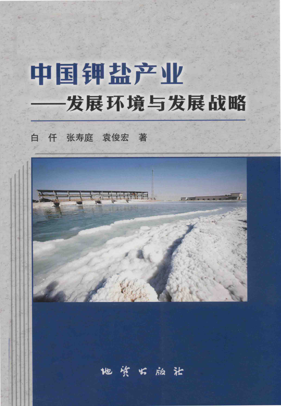 中国钾盐产业发展环境与发展战略_白仟张寿庭袁俊宏著.pdf_第1页