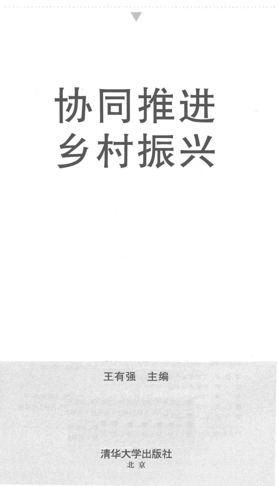 协同推进乡村振兴_王有强主编.pdf_第2页