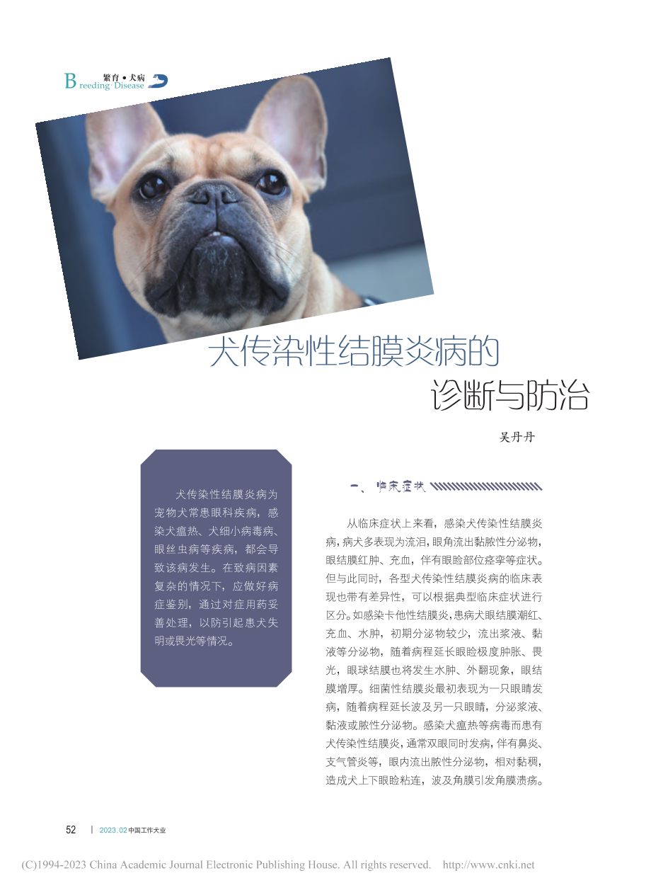 犬传染性结膜炎病的诊断与防治_吴丹丹.pdf_第1页