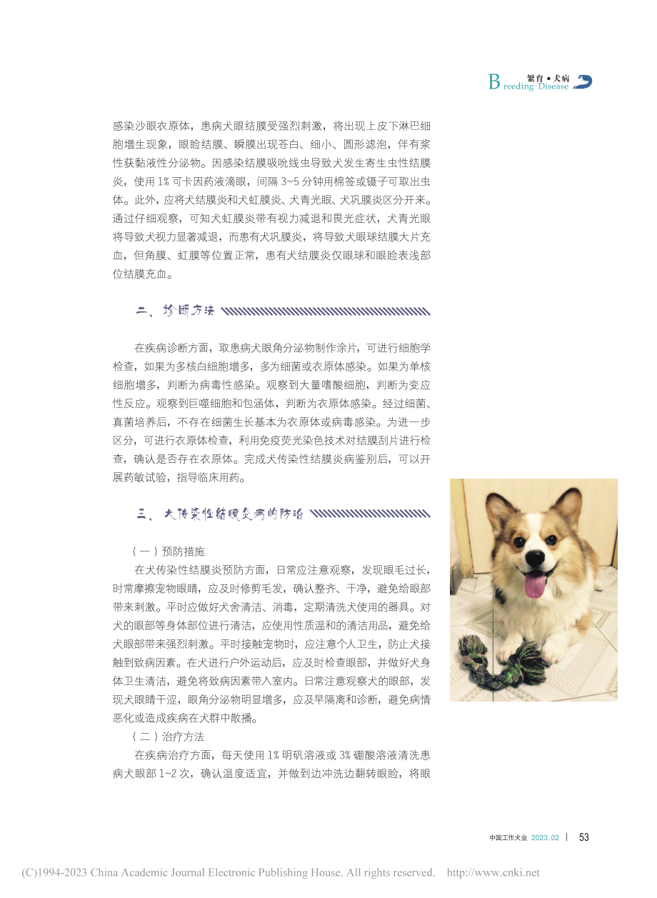 犬传染性结膜炎病的诊断与防治_吴丹丹.pdf_第2页