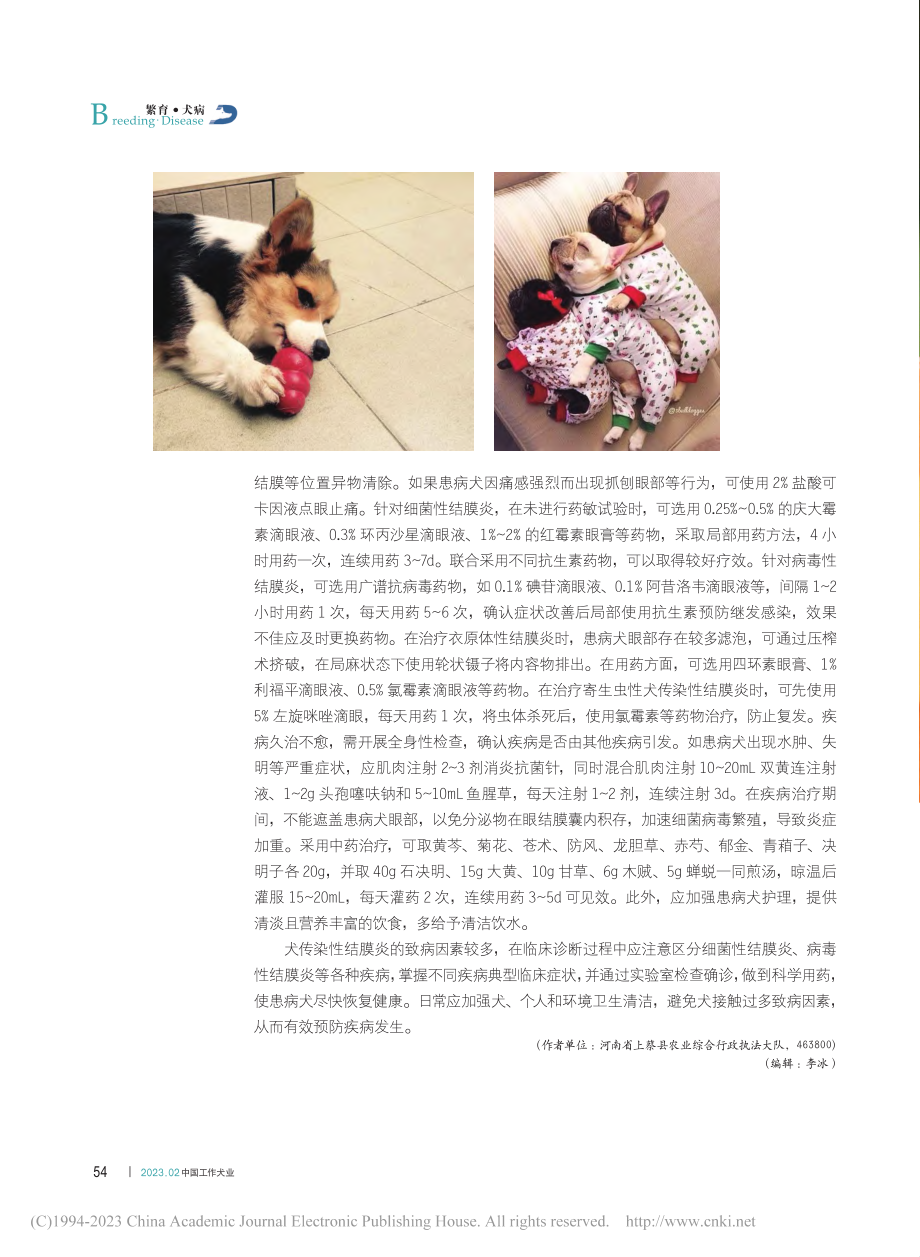 犬传染性结膜炎病的诊断与防治_吴丹丹.pdf_第3页