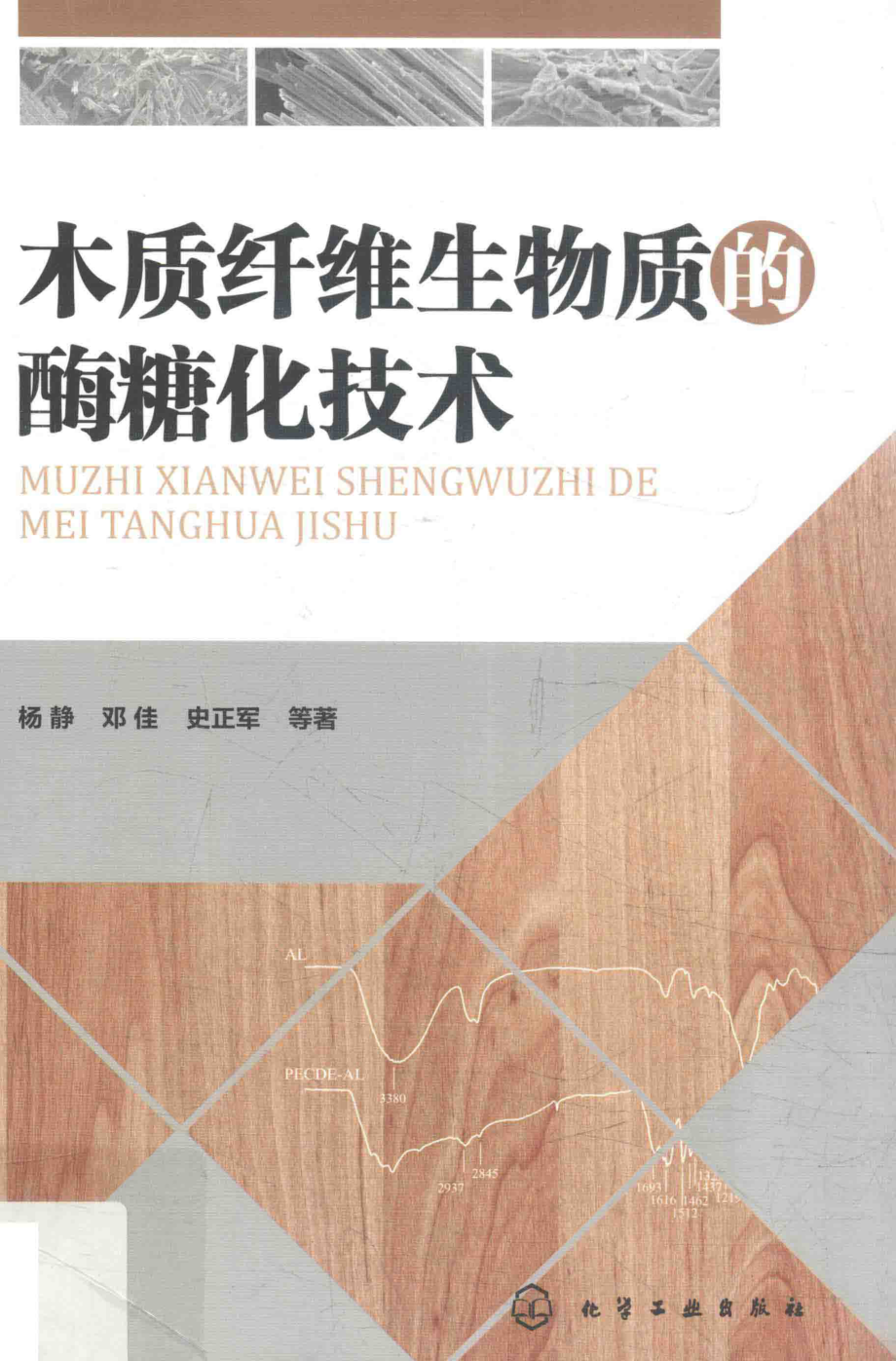 木质纤维生物质的酶糖化技术_杨静邓佳史正军等著.pdf_第1页