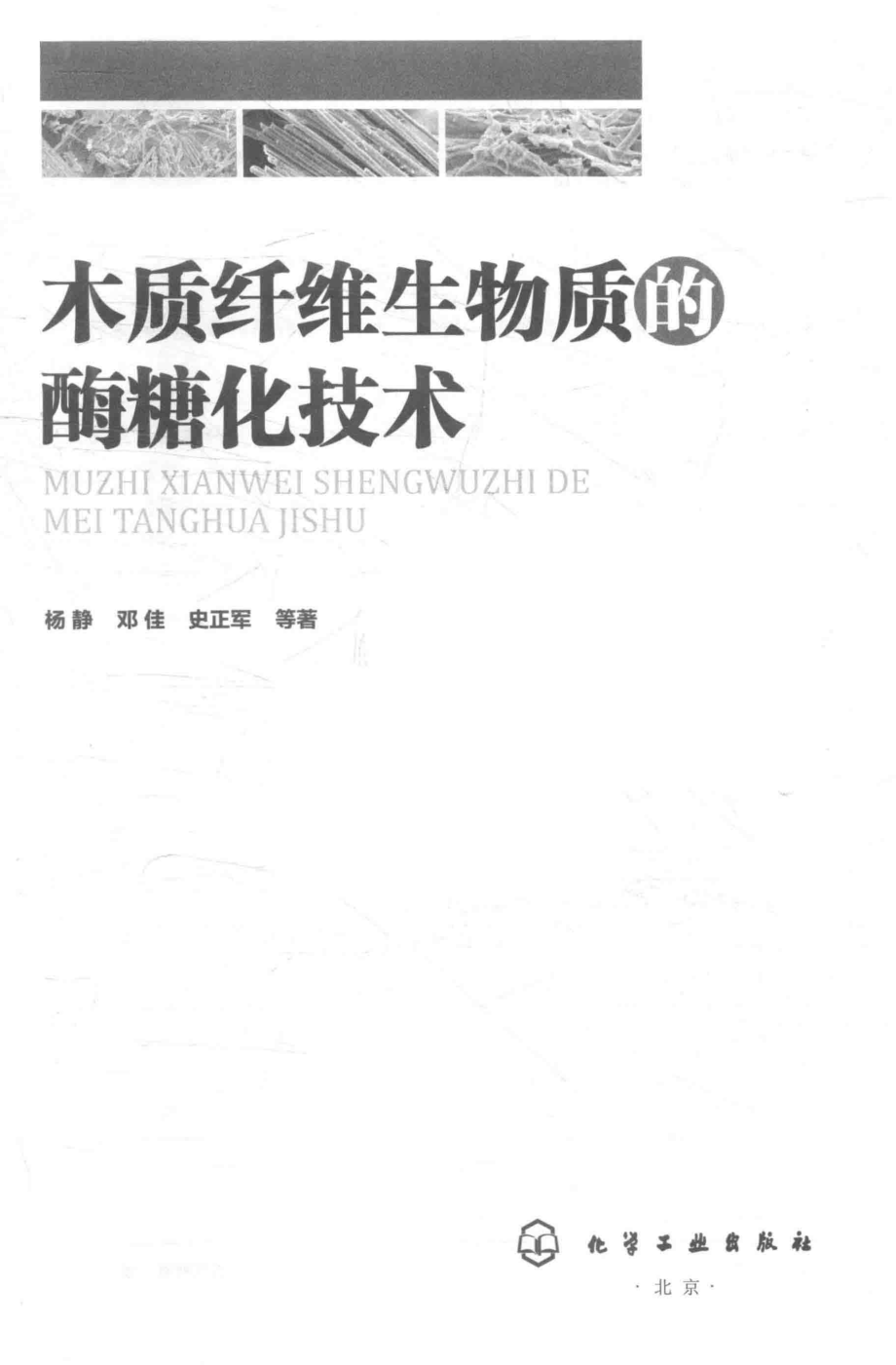 木质纤维生物质的酶糖化技术_杨静邓佳史正军等著.pdf_第2页