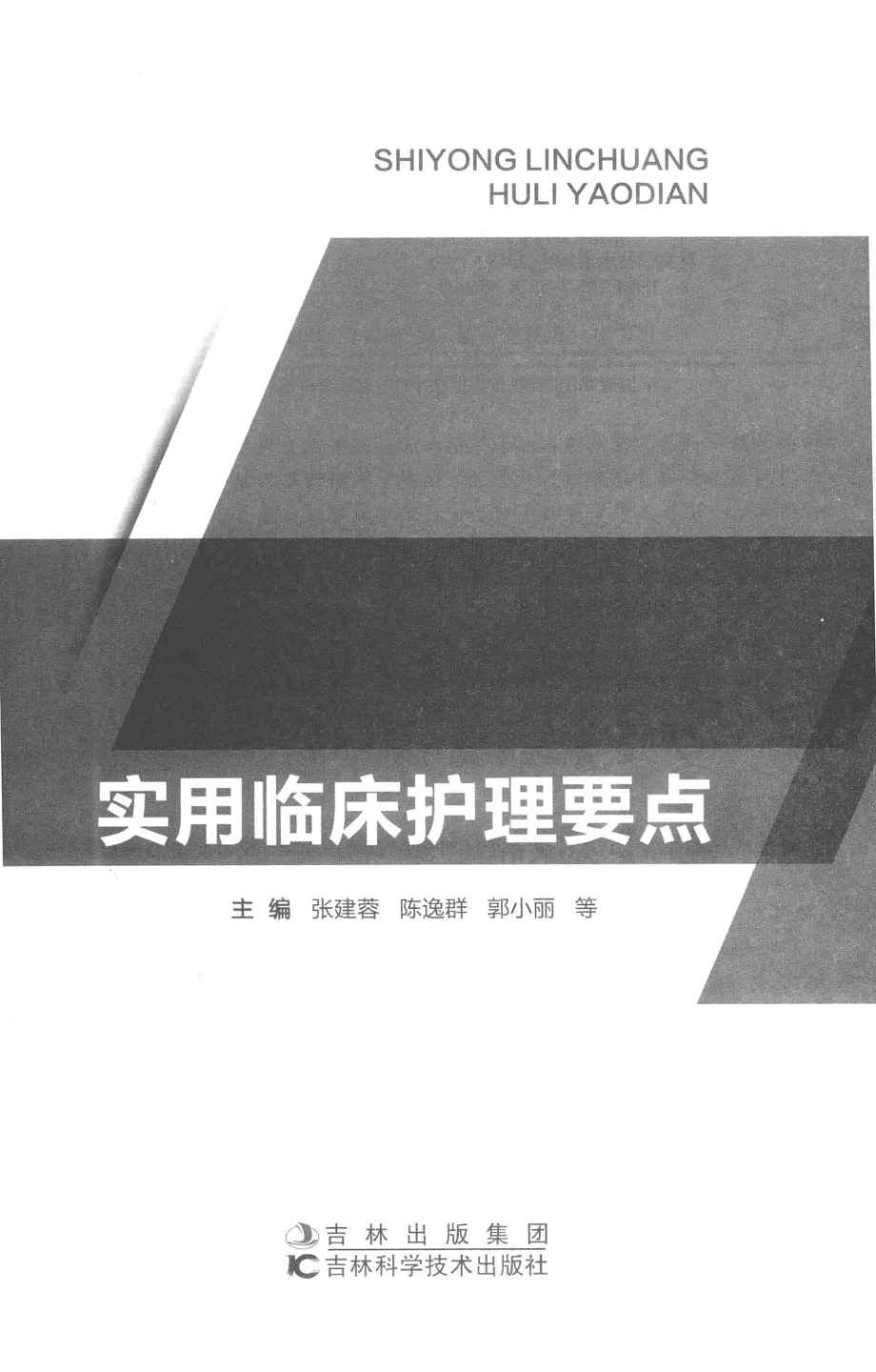 实用临床护理要点第2版_张建蓉等主编.pdf_第2页