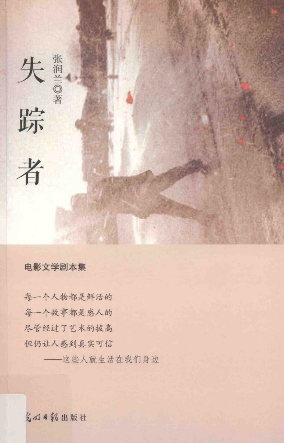 失踪者_张润兰著.pdf_第1页