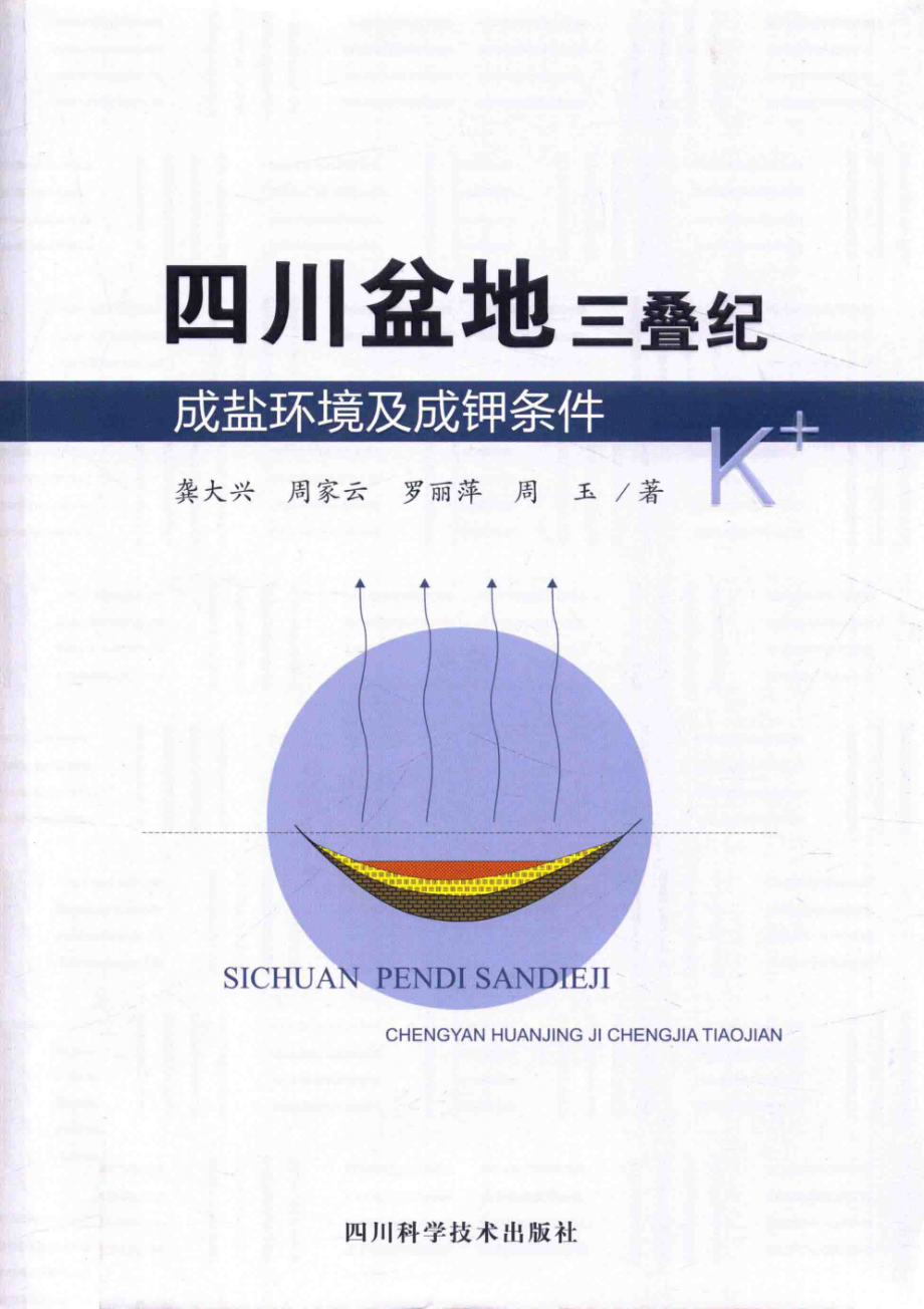 四川盆地三叠纪成盐环境及成钾条件_龚大兴周家云罗丽萍周玉著.pdf_第1页