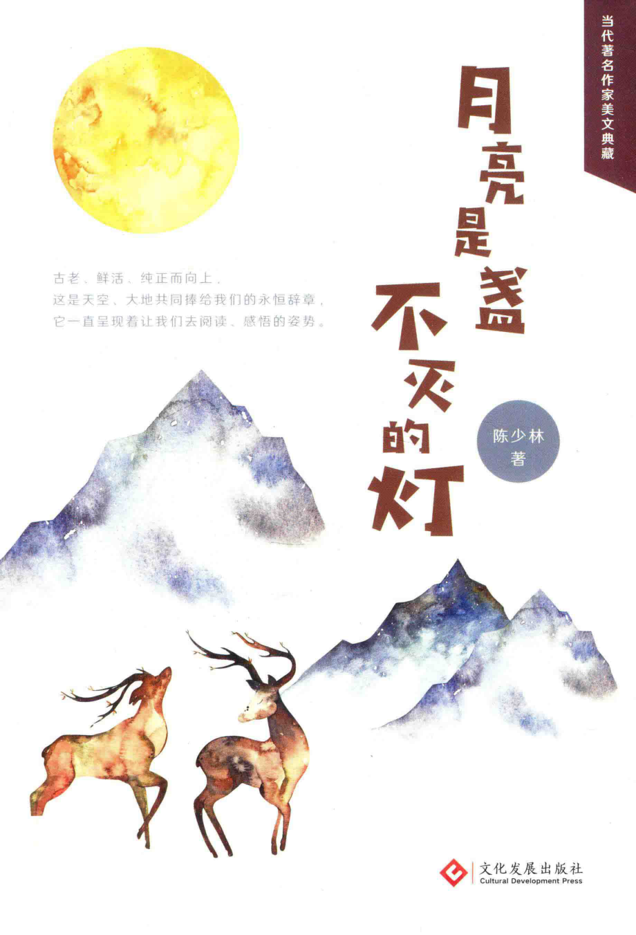 月亮是盏不灭的灯_陈少林著.pdf_第1页