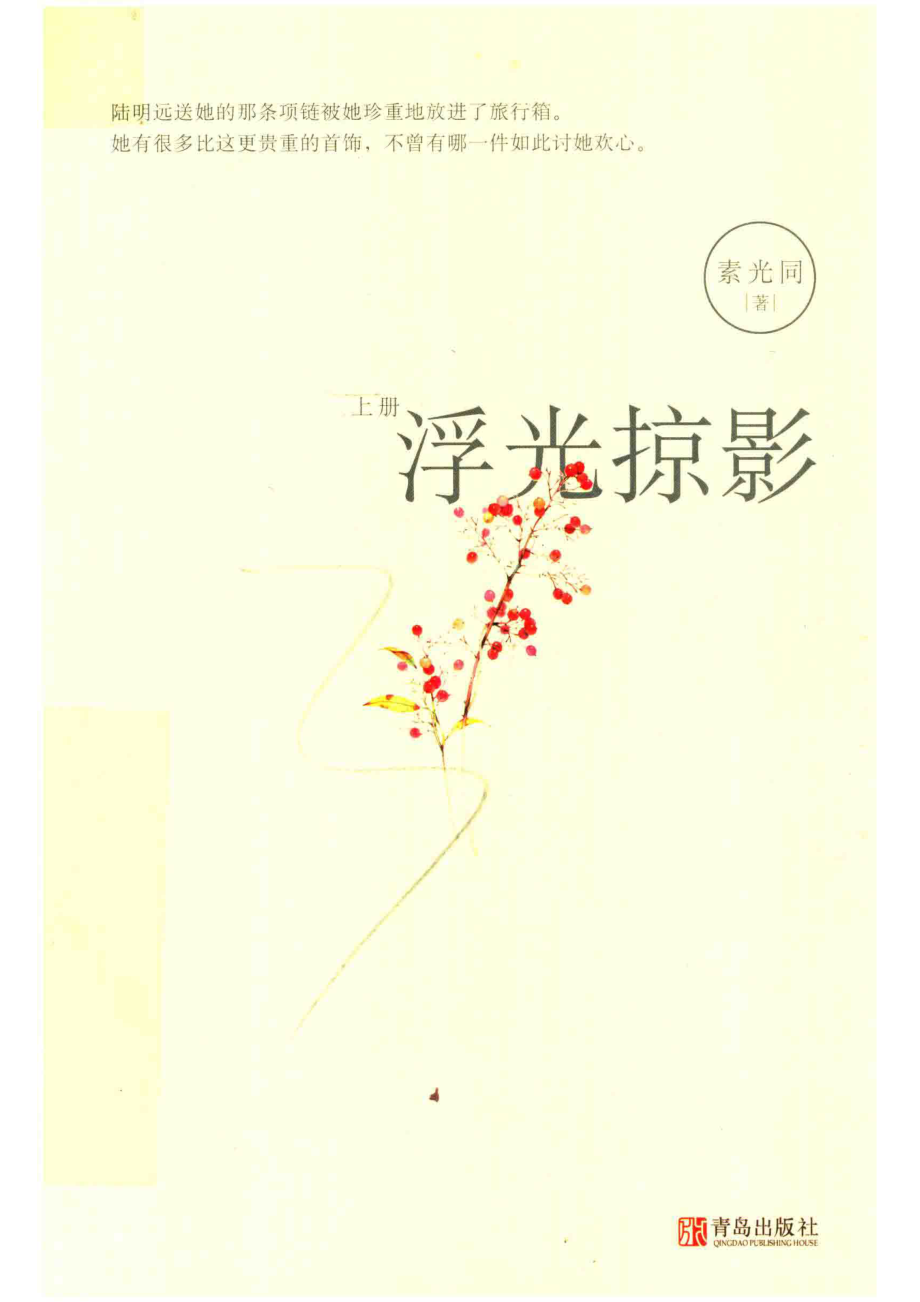 浮光掠影上_索光同著.pdf_第1页