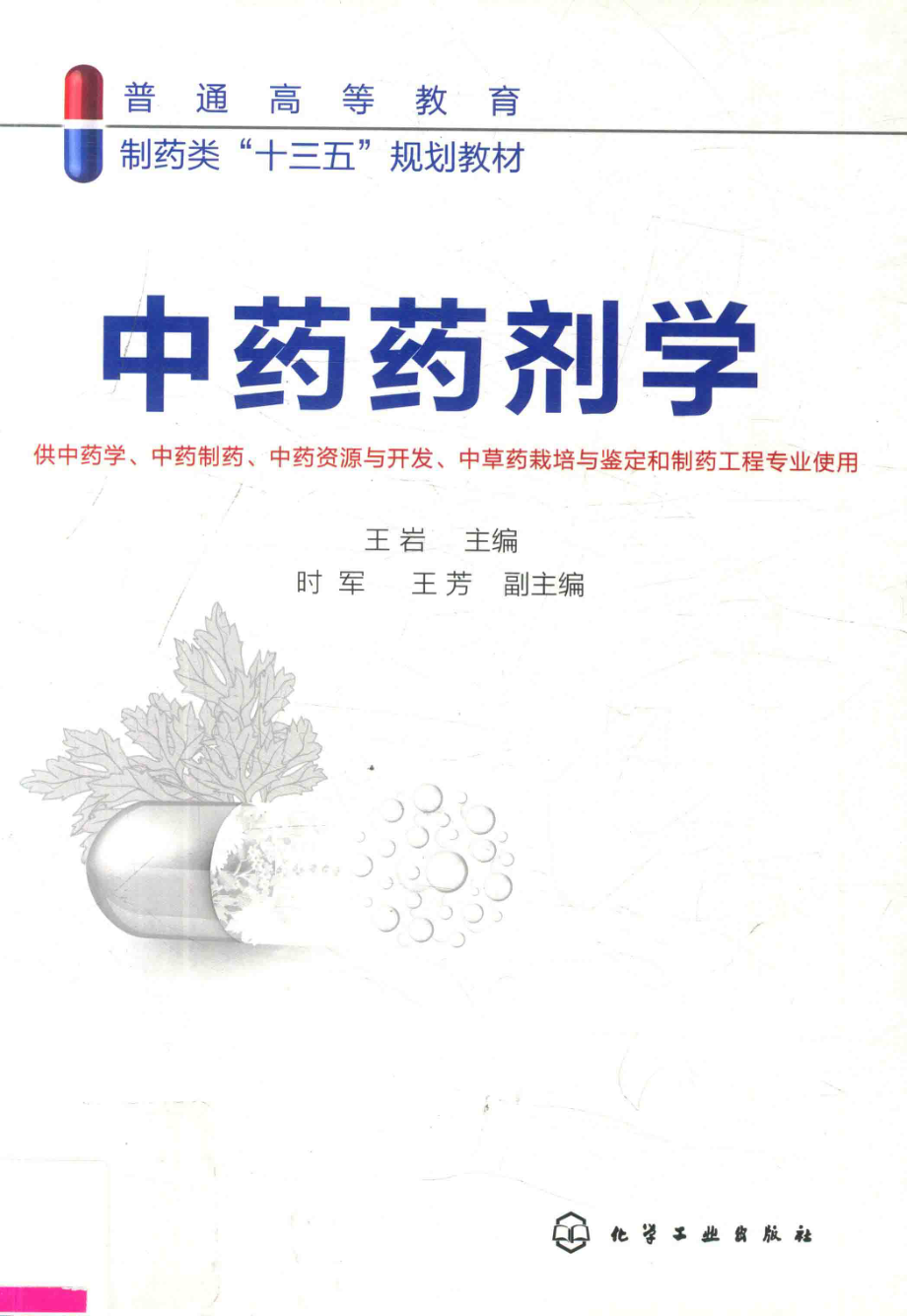 中药药剂学_王岩主编.pdf_第1页