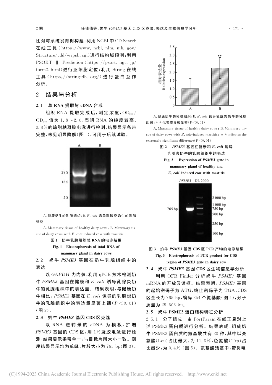 奶牛PSME3基因CDS区克隆、表达及生物信息学分析_任倩倩.pdf_第3页