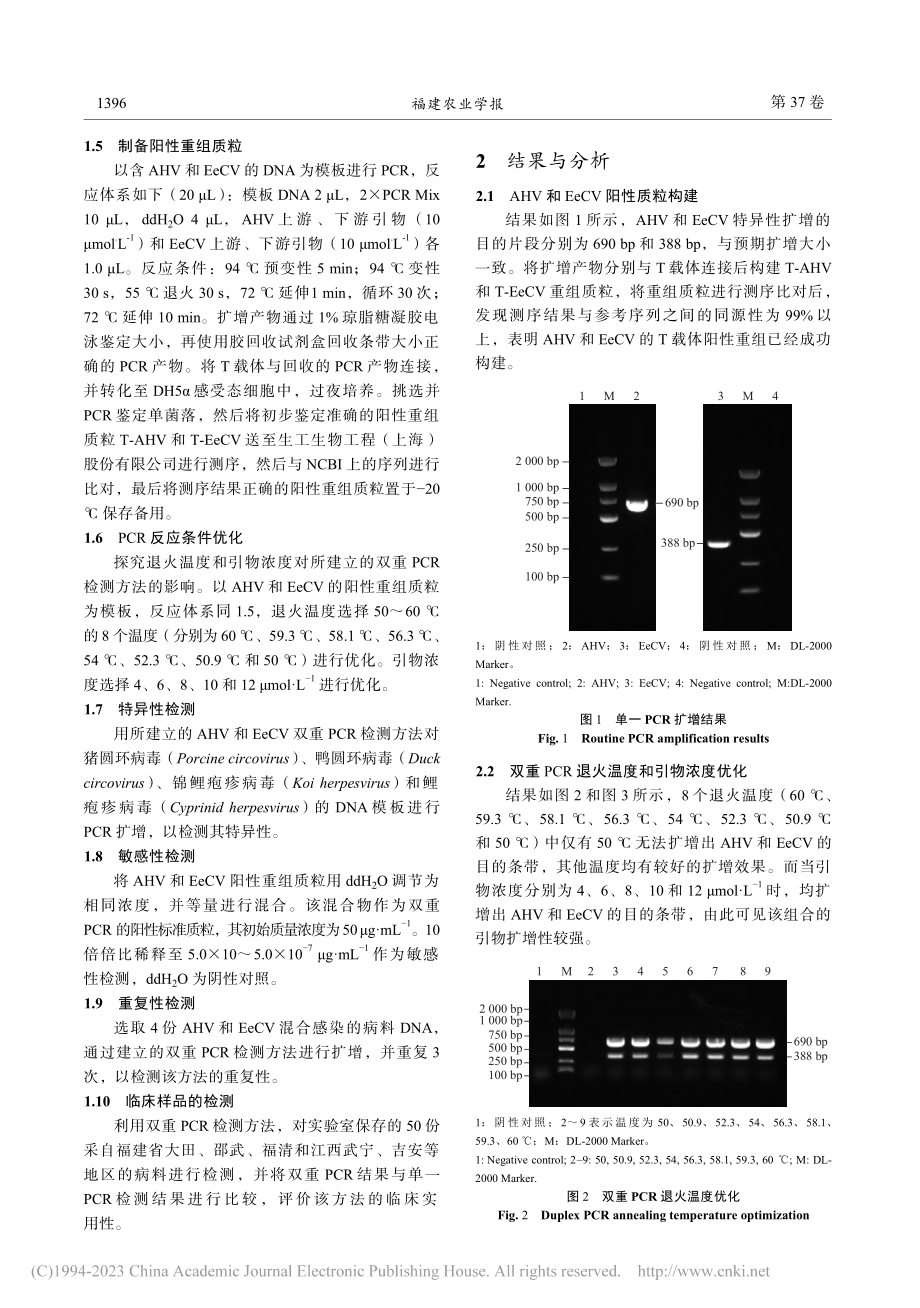 鳗鲡疱疹病毒与鳗鲡圆环病毒双重PCR检测方法的建立_林而舒.pdf_第3页